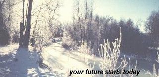 Bright dawn in winter