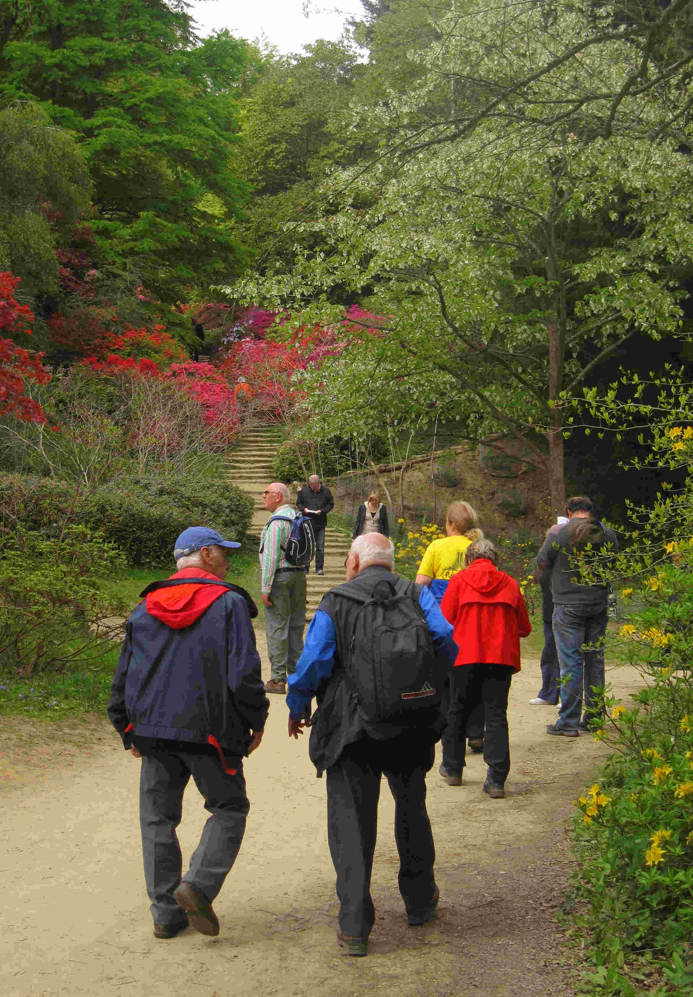 BBwalk Winkworth May 2010